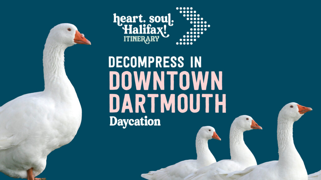 Decompress in Dartmouth Daycation