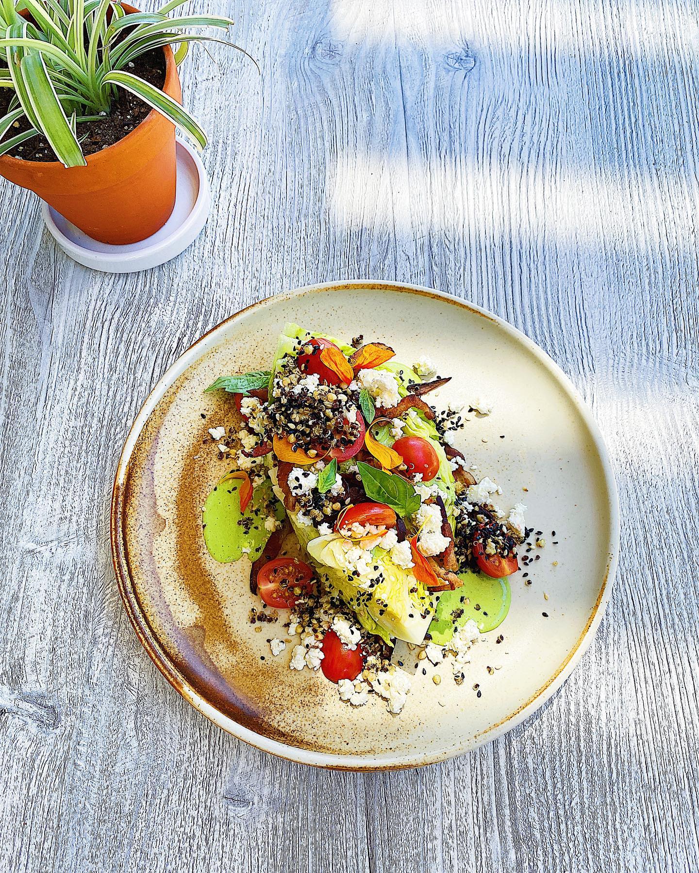 10 New Downtown Halifax Patios Everyone Should Experience This Summer