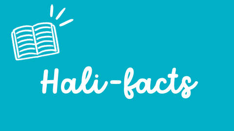 Halifax Kids' Guide Hali-Facts Fun Facts