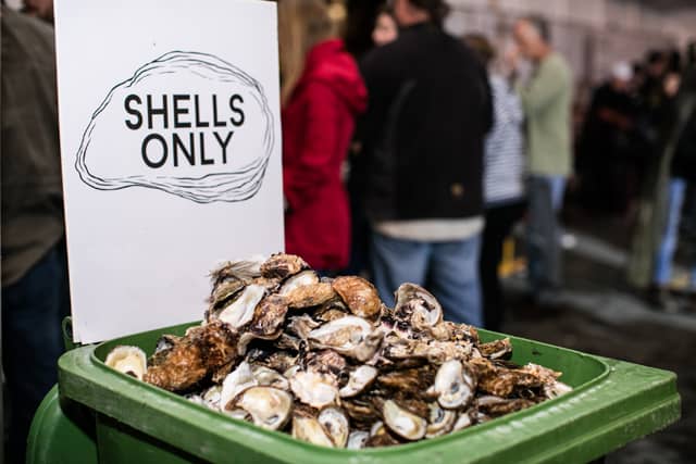 5 Reasons to Attend the 5th Annual Halifax Oyster Festival – Discover ...