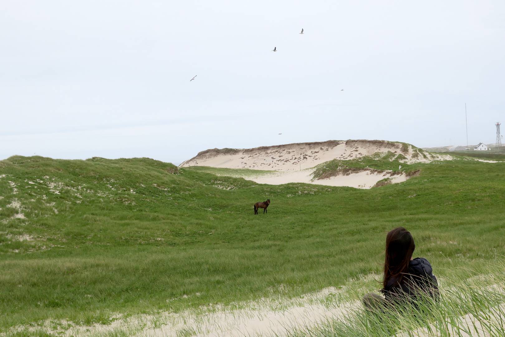 tours of sable island