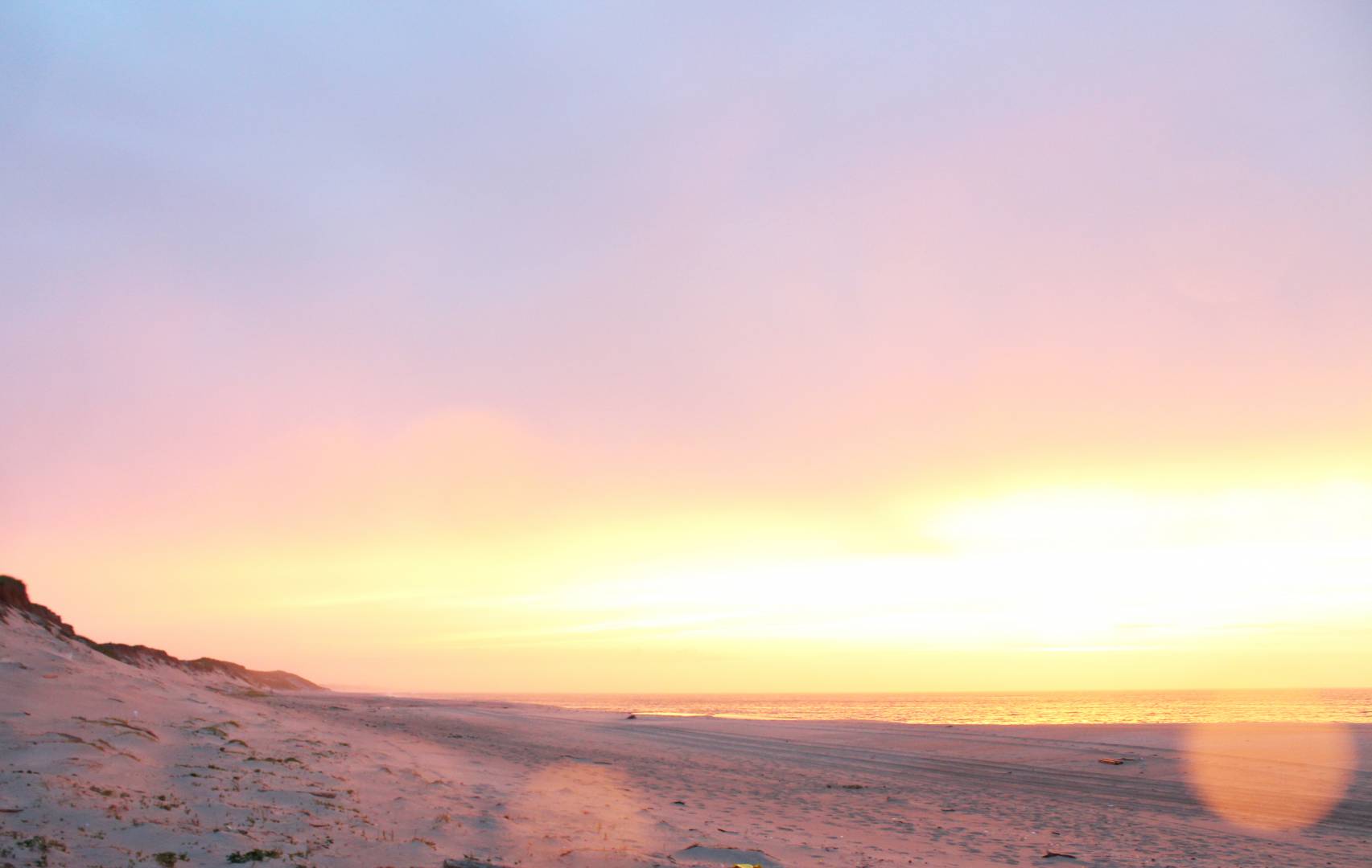 3 Ways to Get to Sable Island from Halifax Discover Halifax