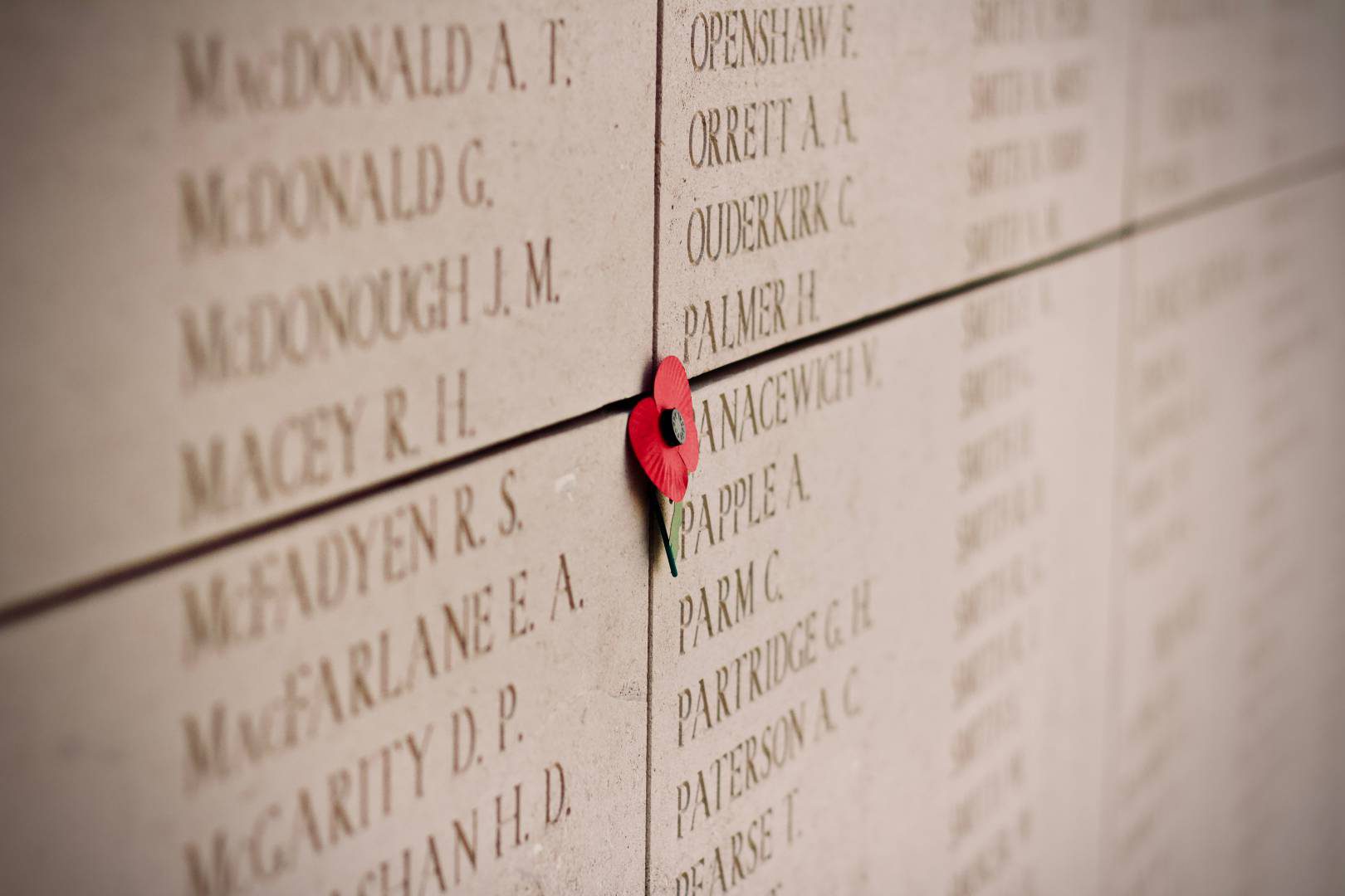 remembrance-day-in-halifax-discover-halifax