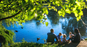 7 Great Places to See Ducks in the Halifax Region image