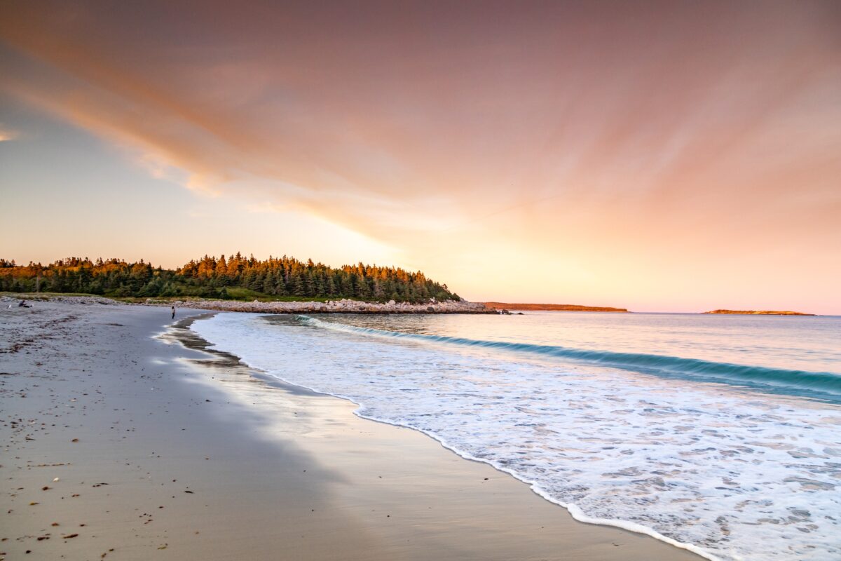 11 Facts About Sable Island That Might Surprise You - Discover Halifax