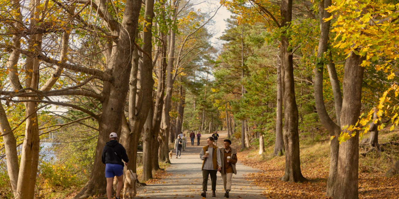 5 Places to Experience Stunning Fall Colours in Halifax - Discover Halifax