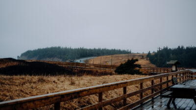 Things to Do on a Rainy Day in Halifax image