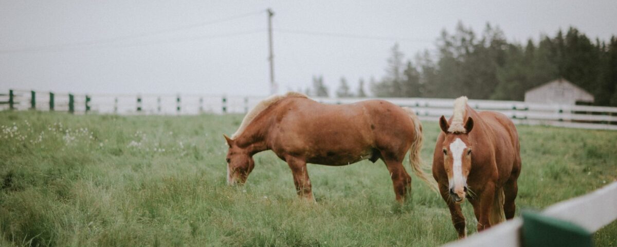 Main Photo (Profile Hero Image, 1x1 ratio (square) preferred, max 5MB)