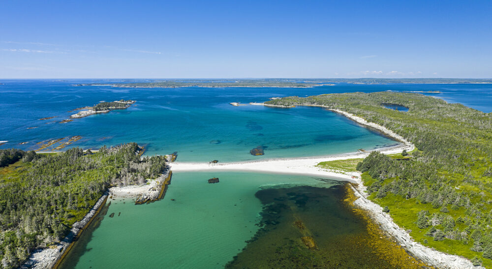 Moser's Photography image