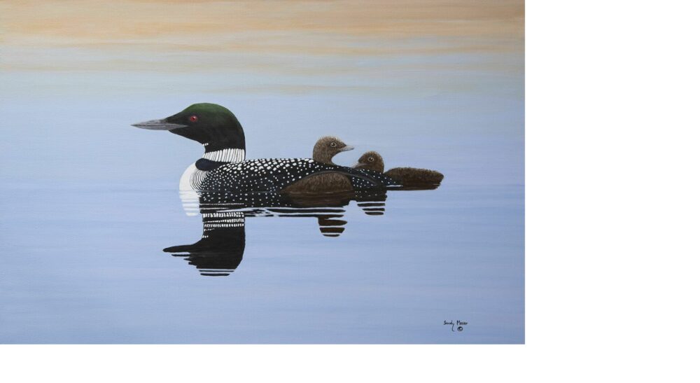 Sandy Moser Art image