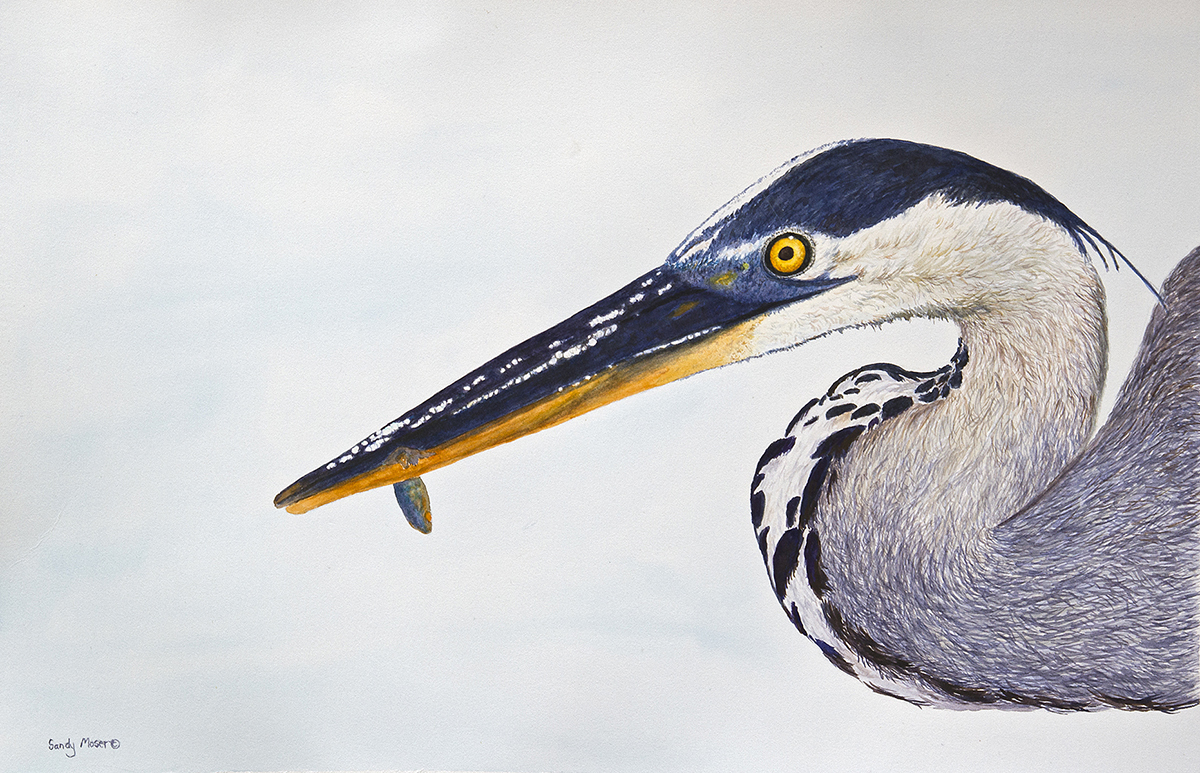 Sandy Moser Art gallery image