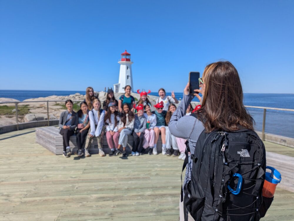 Settled Nomads image