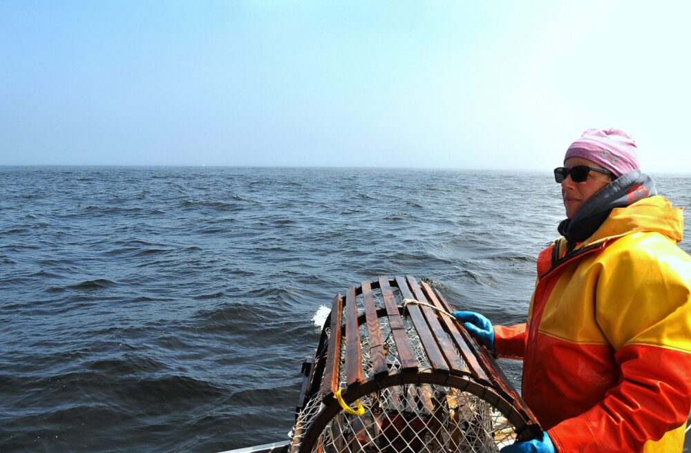 Tangier Lobster image