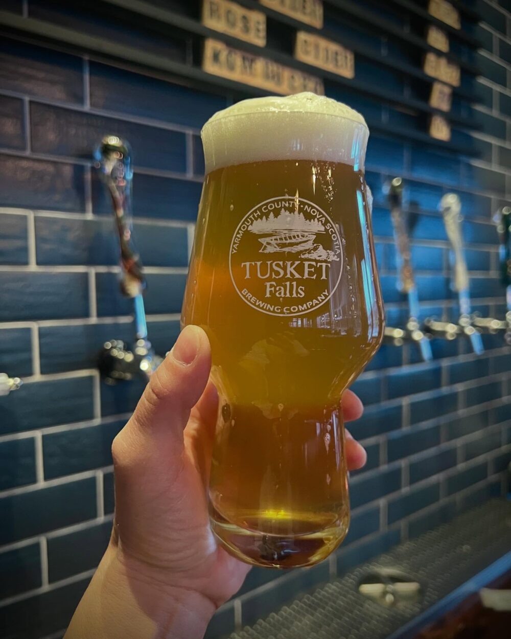 Tusket Falls Beer Project image