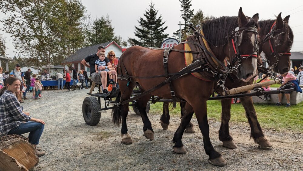 Nova Scotia Forest Festival image