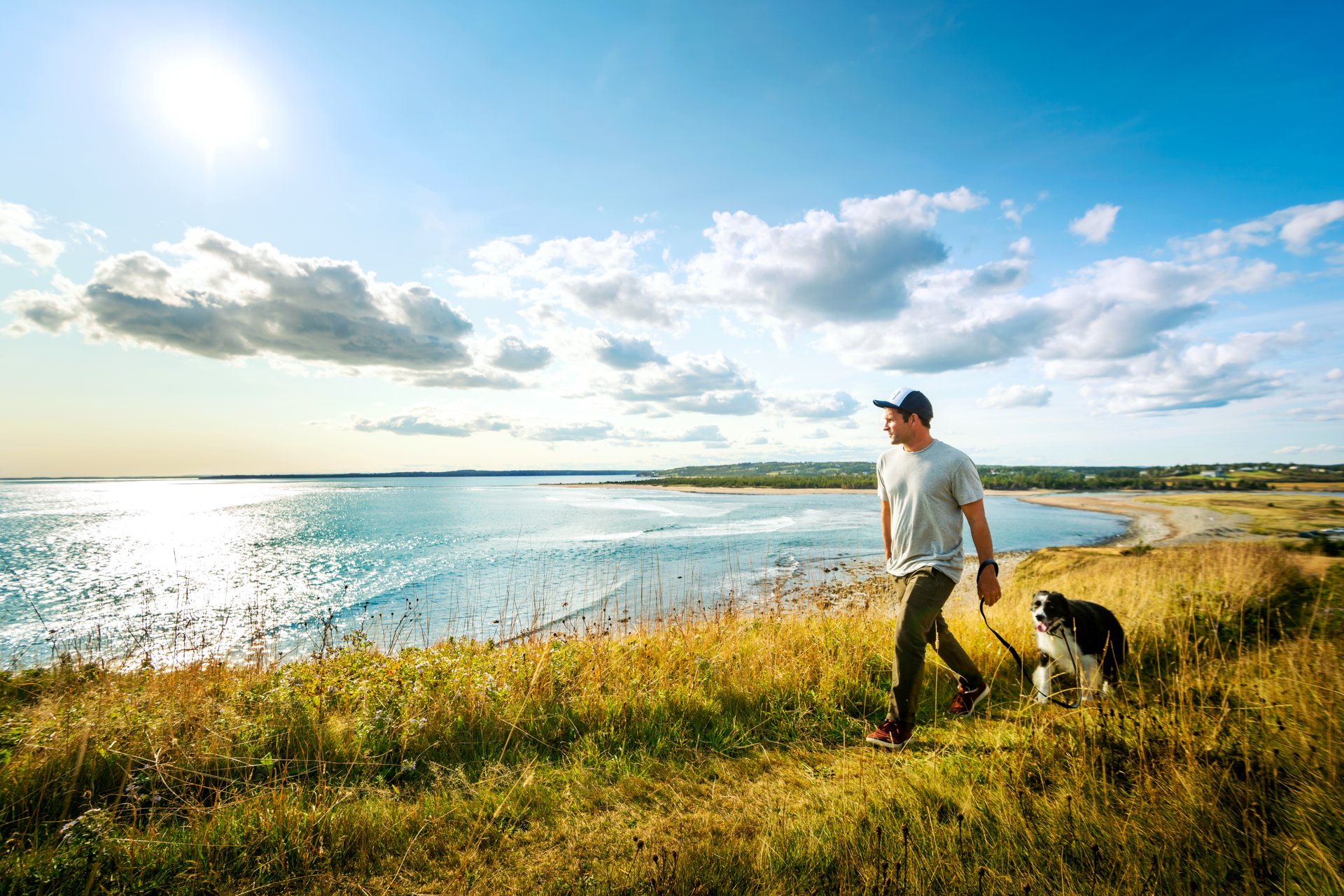 Bowser's Buddies Dog Training Services Discover Halifax