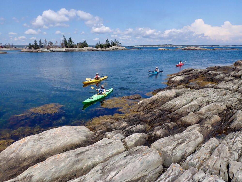 Coastal Adventures Kayaking & Paddler's Retreat B&B image
