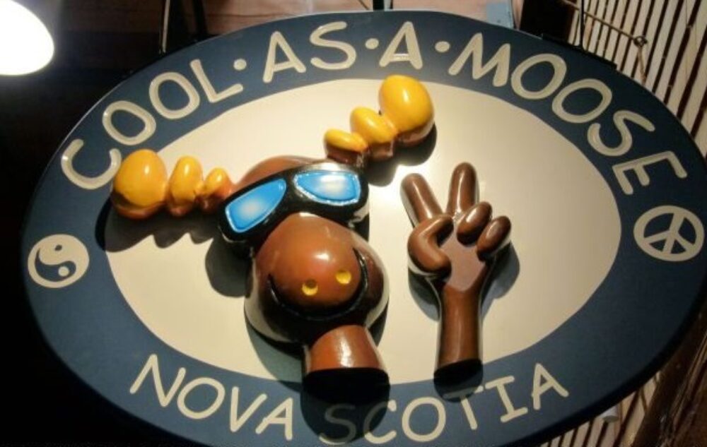 Cool As A Moose Discover Halifax Cool as a moose discover halifax