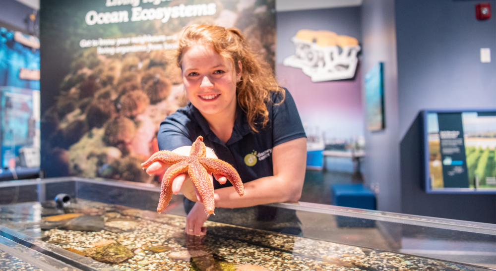 Discovery Centre image