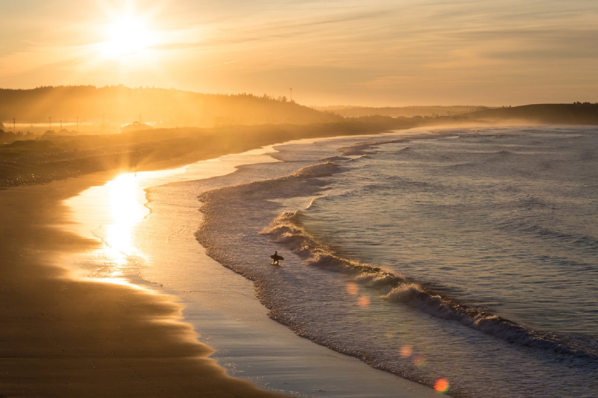 Fresh Prints Discover Halifax