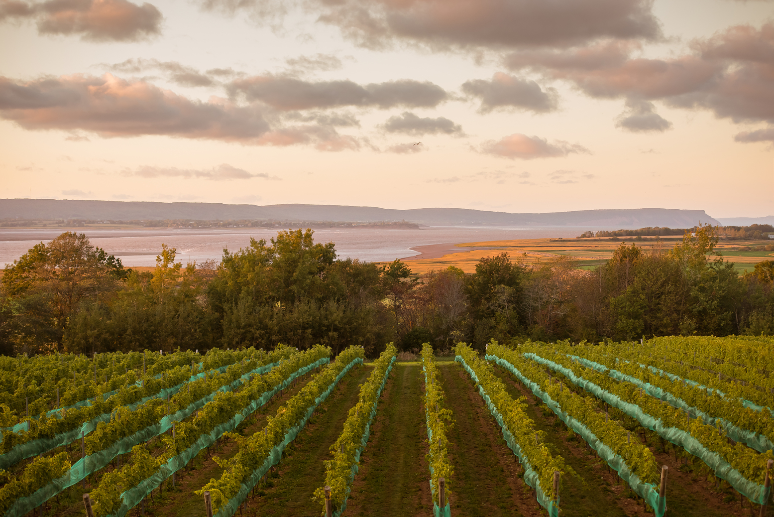 wine tours halifax