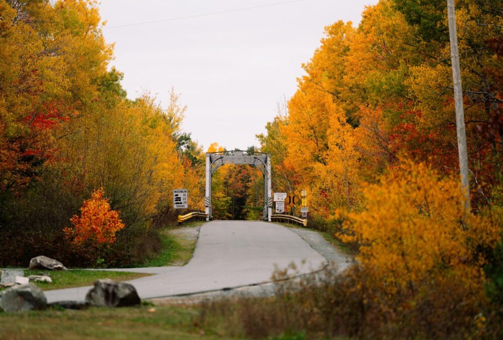 Laurie Provincial Park image