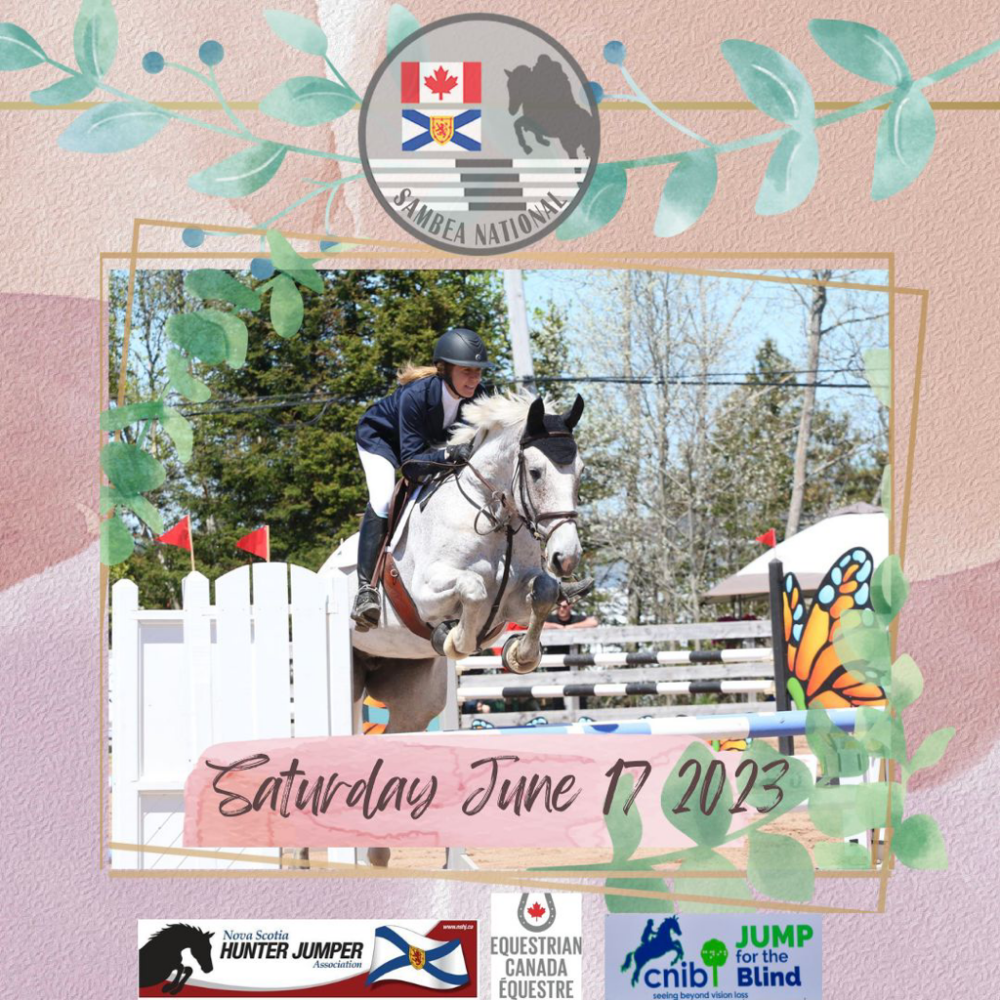 Sambea National Jumper Festival image