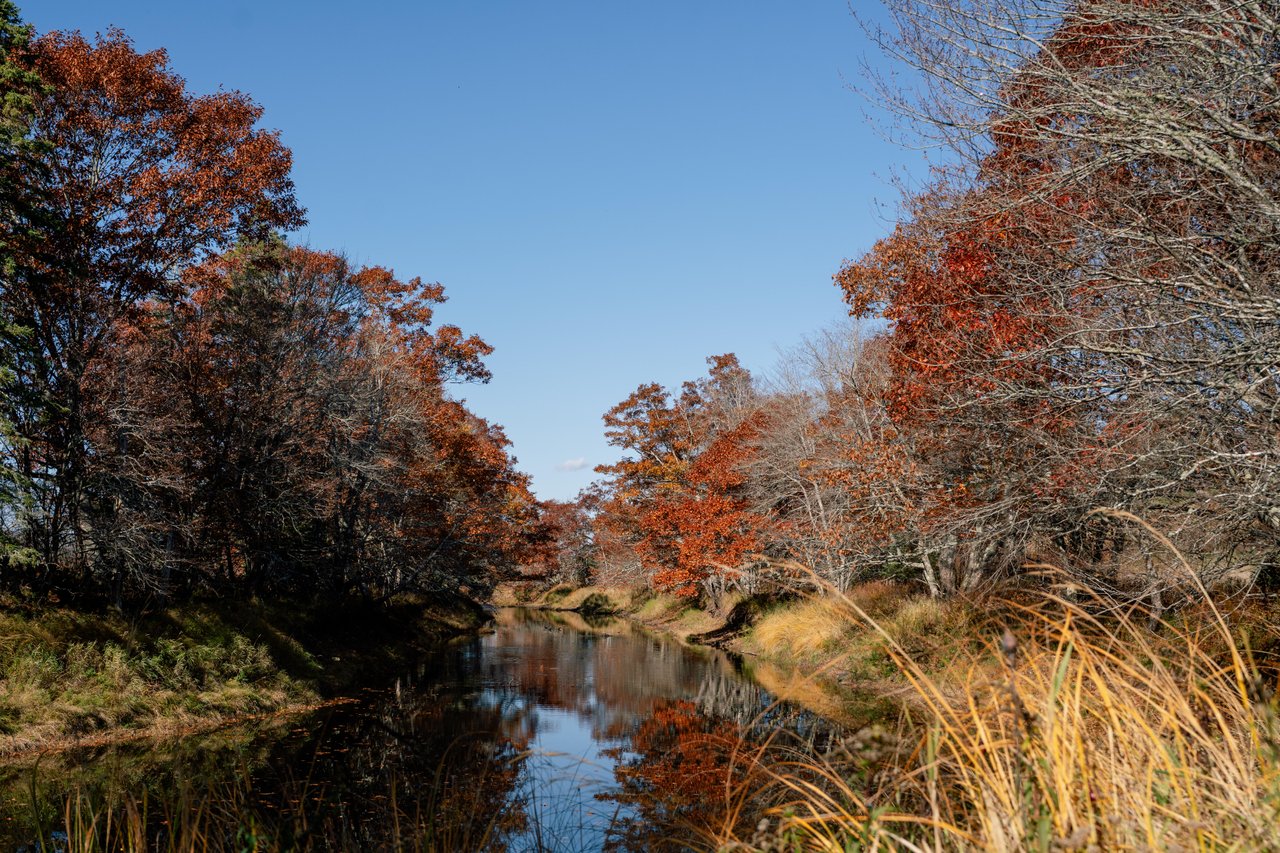 Elderbank Waterway Provincial Park gallery image