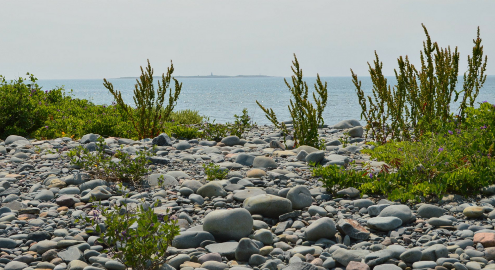 MacCormacks Beach Provincial Park image