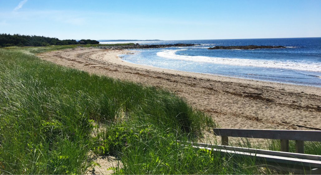 Martinique Beach Provincial Park Discover Halifax