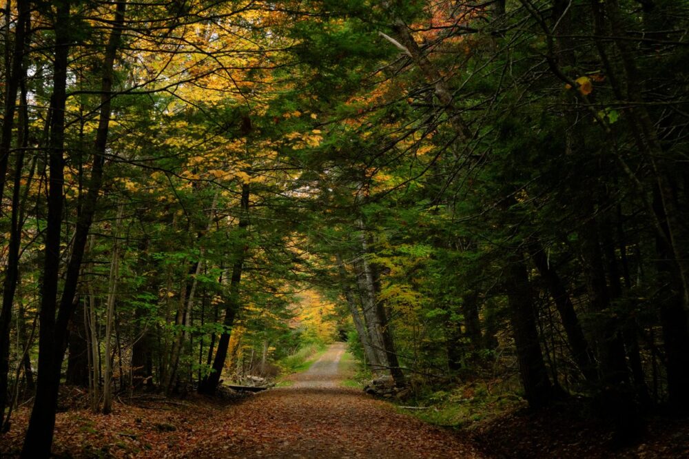 Oakfield Provincial Park image