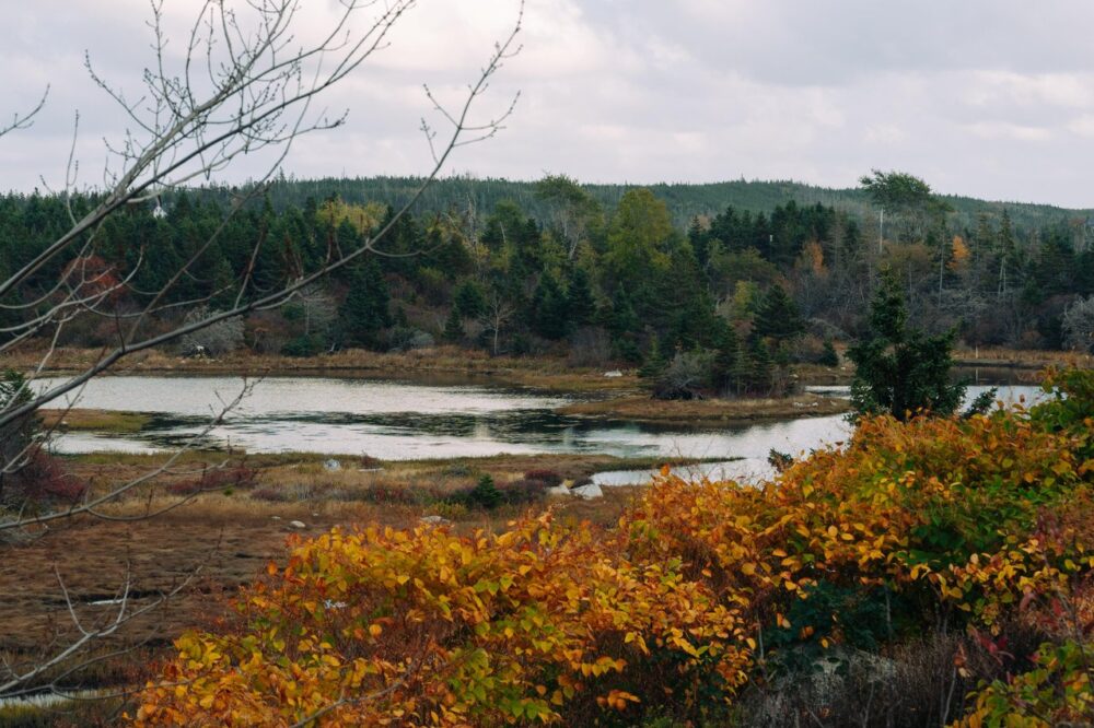 Spry Bay Provincial Park image