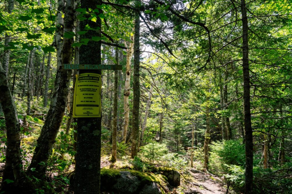 Blue Mountain-Birch Cove Lakes Wilderness Area image