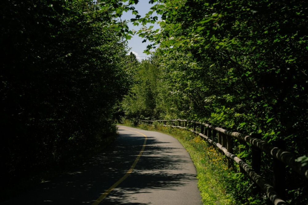 Chain of Lakes Trail image
