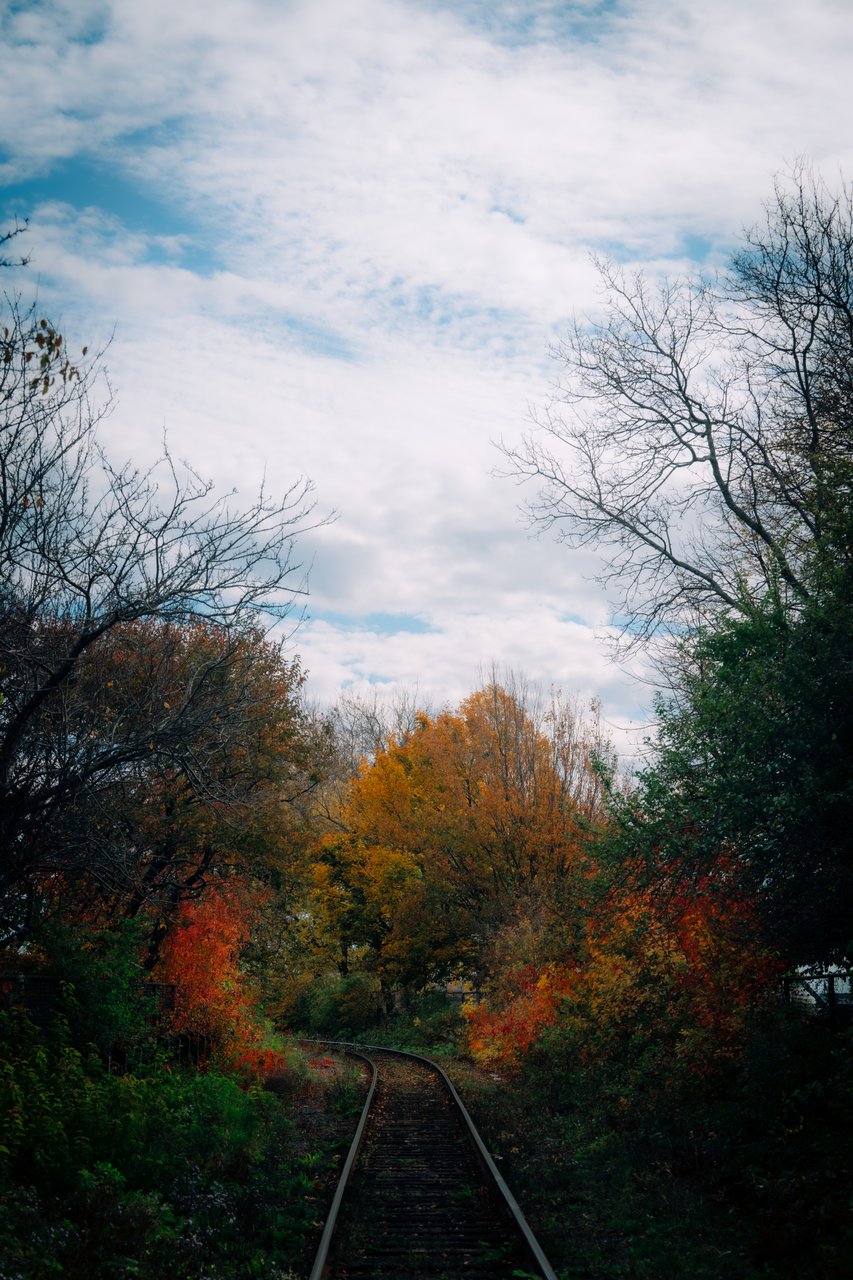 Dartmouth Harbourfront Walkway gallery image