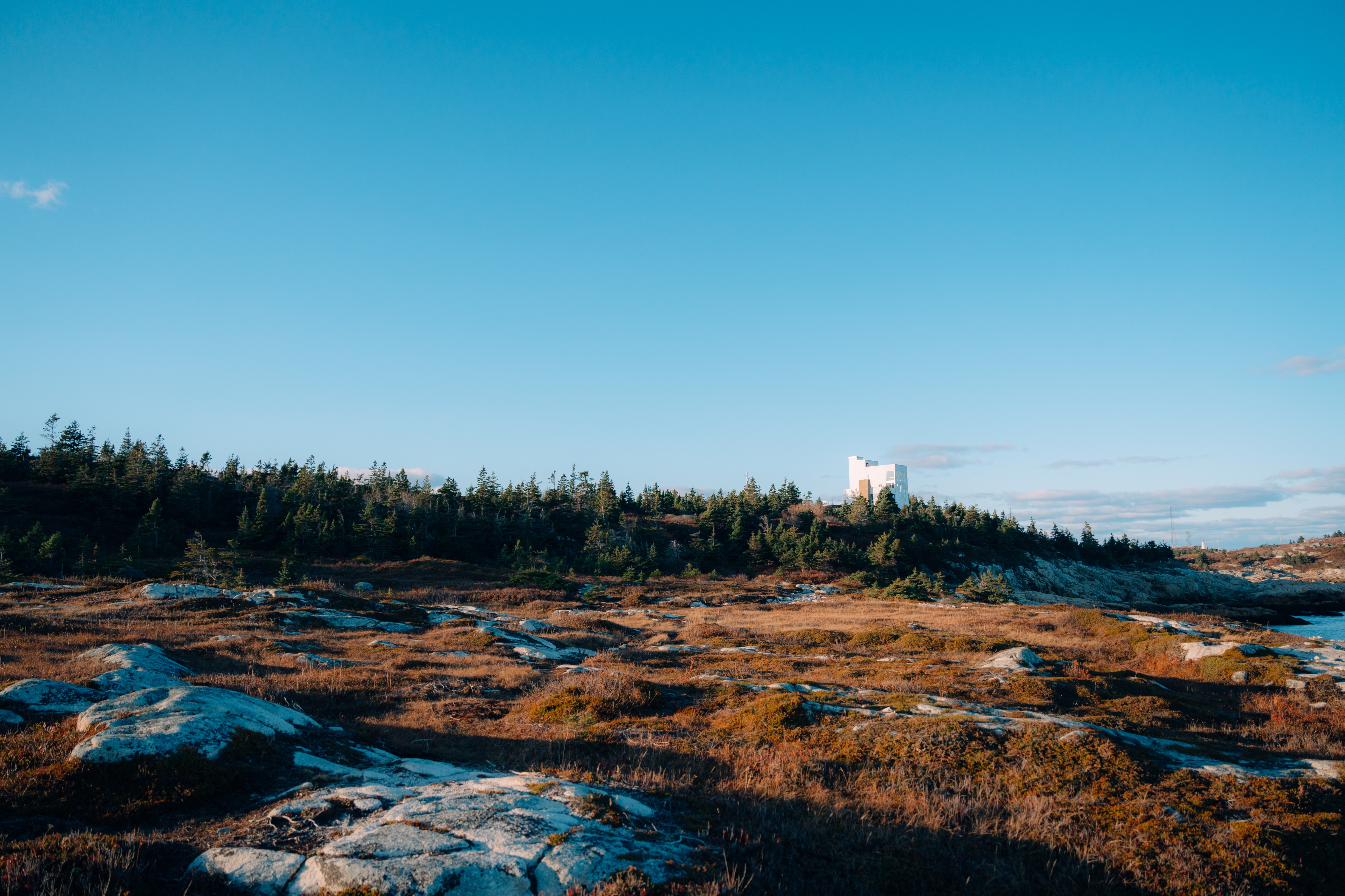 Duncan's Cove Nature Reserve gallery image