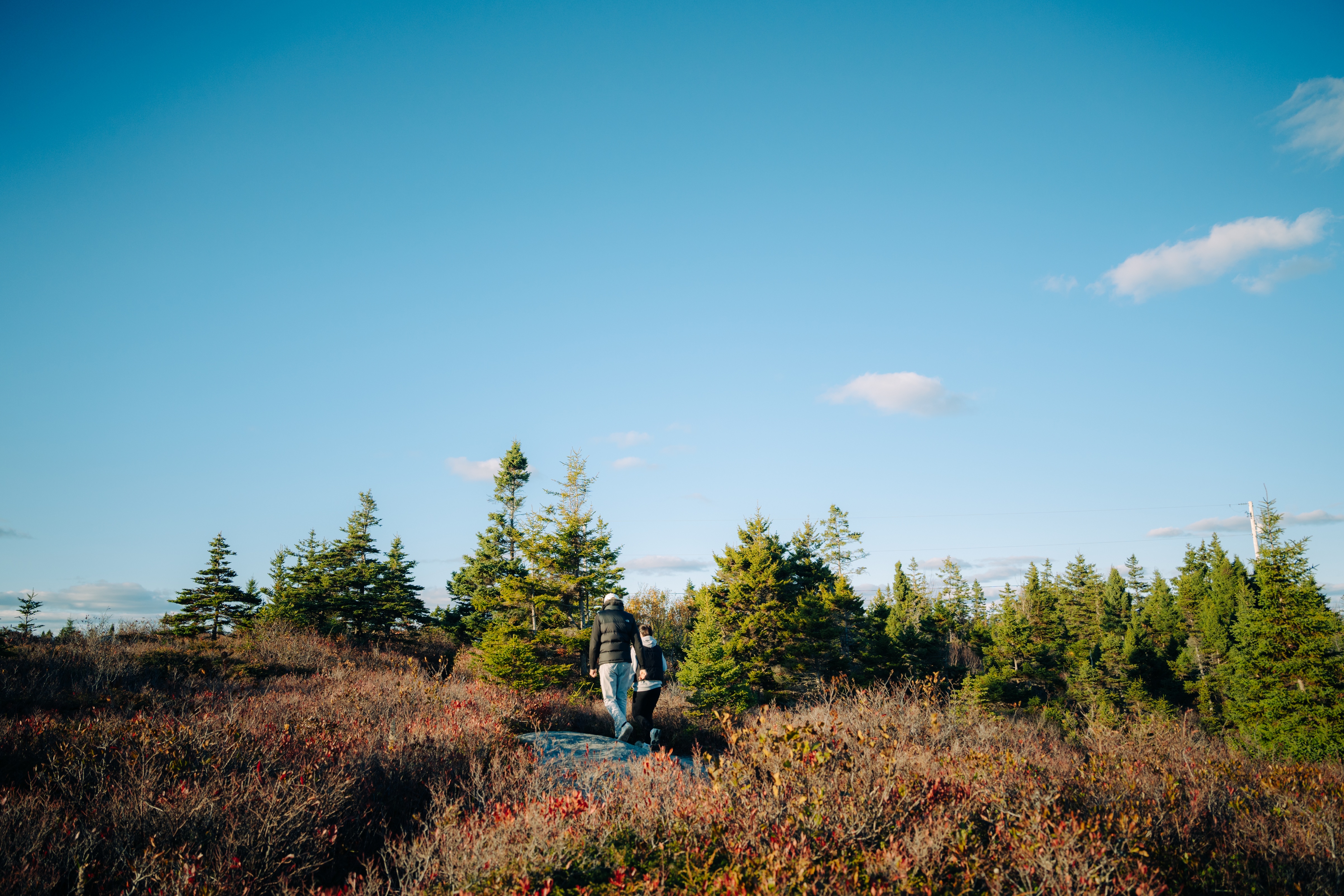 Duncan's Cove Nature Reserve gallery image