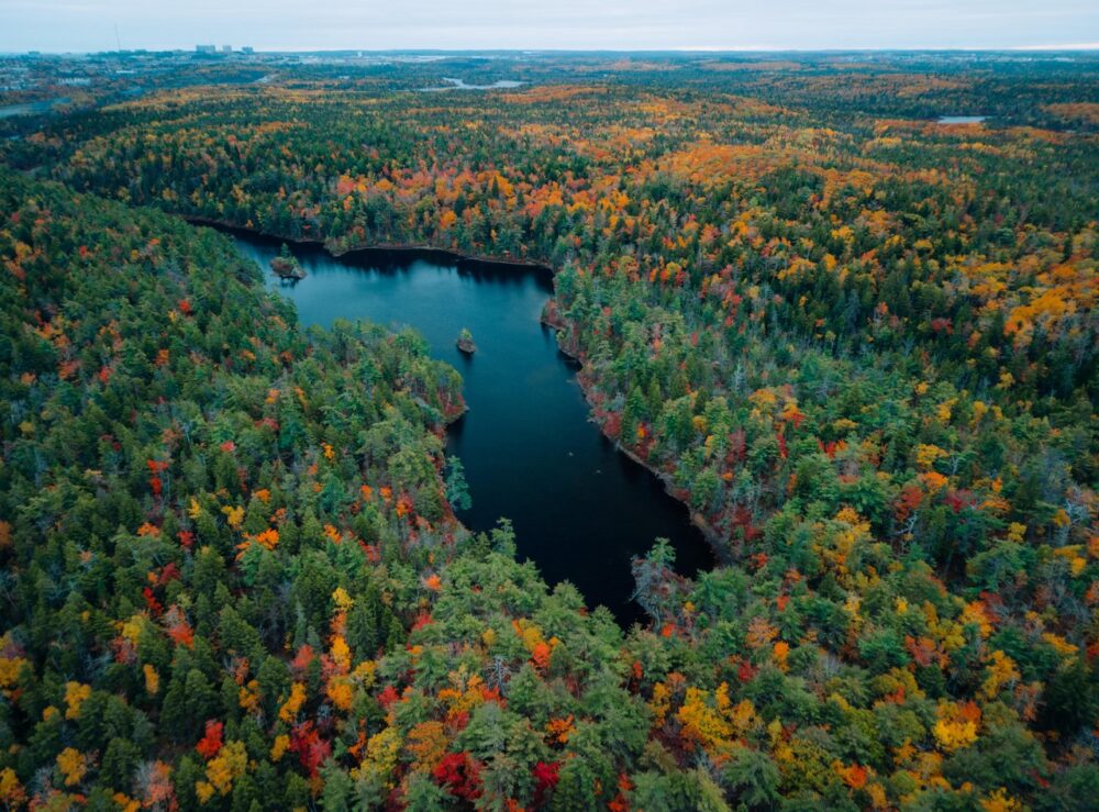 Fox Lake Trail image