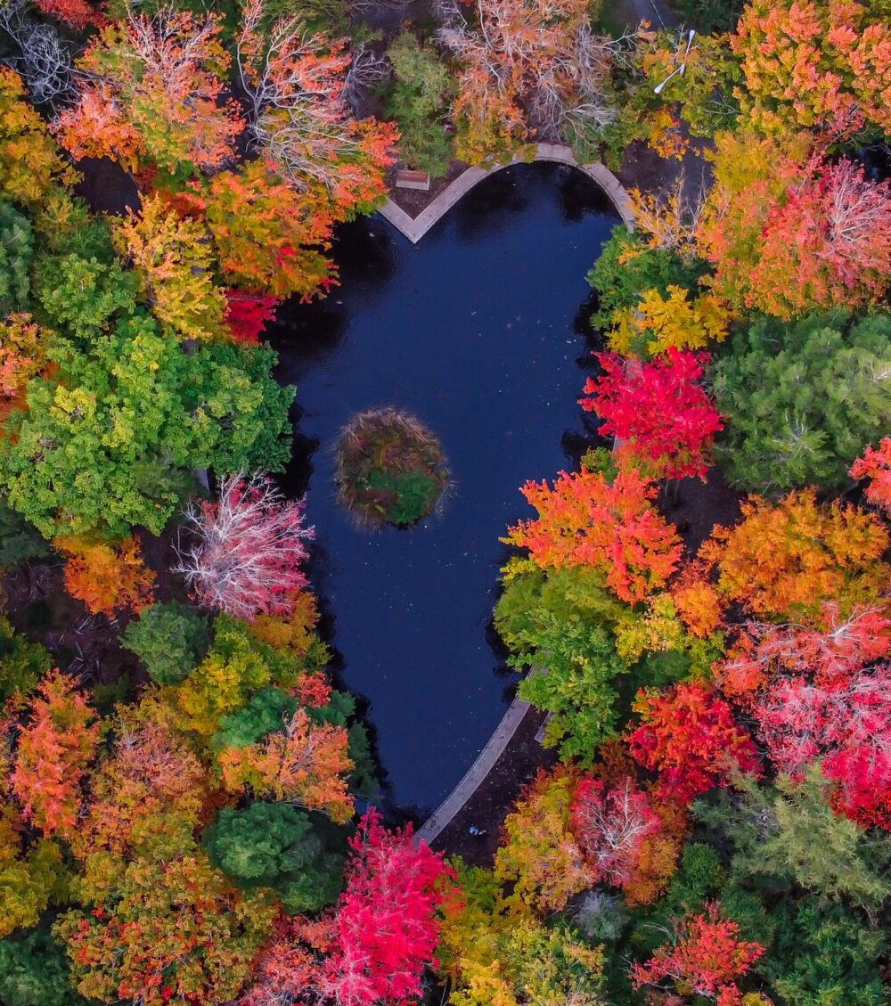 Hemlock Ravine Park image