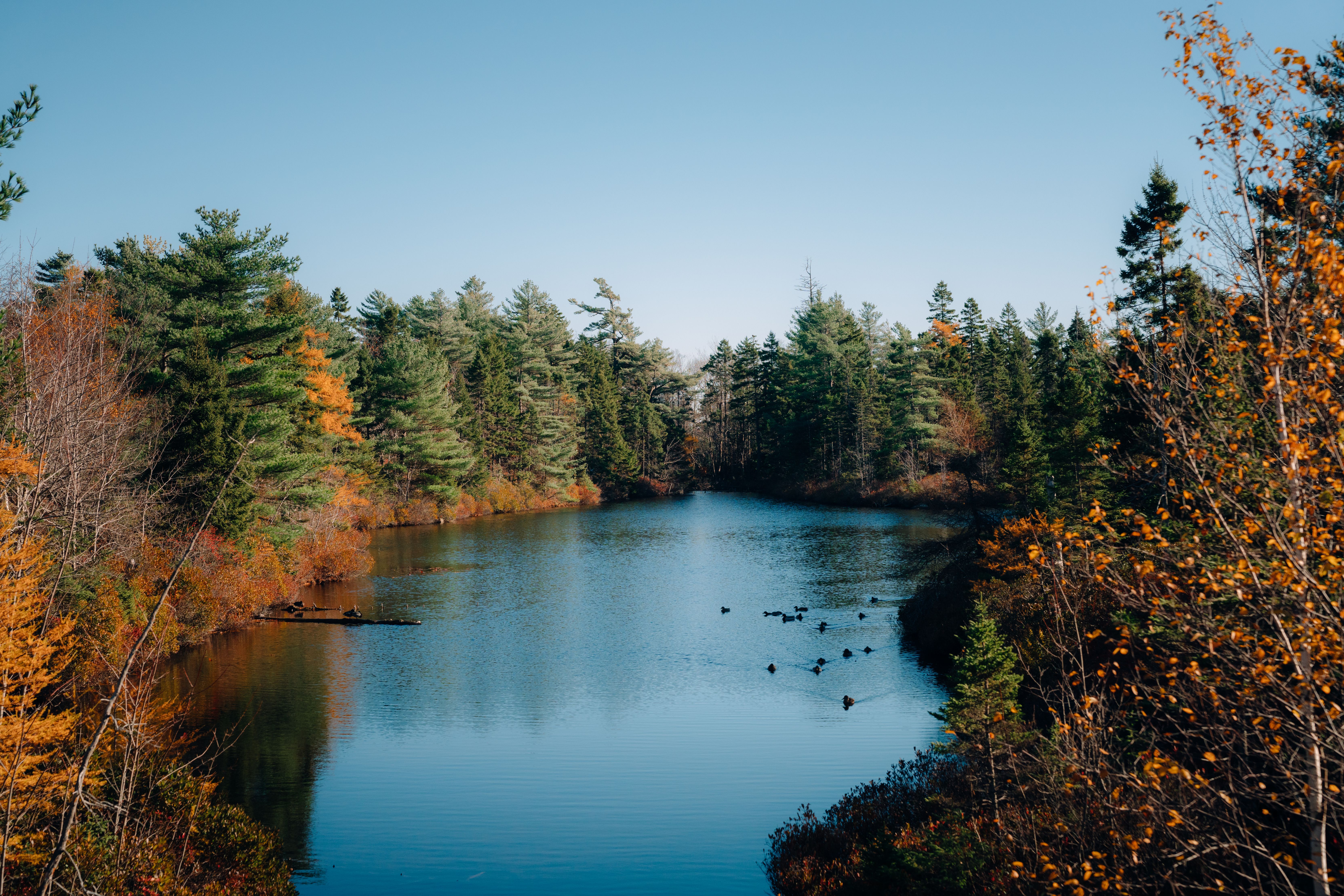 Hemlock Ravine Park gallery image