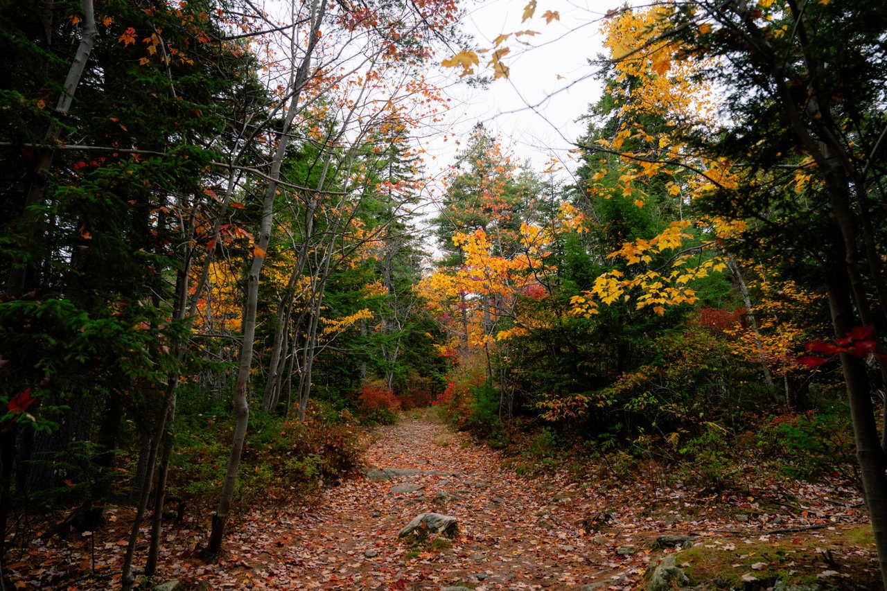 Jack Lake Trail gallery image