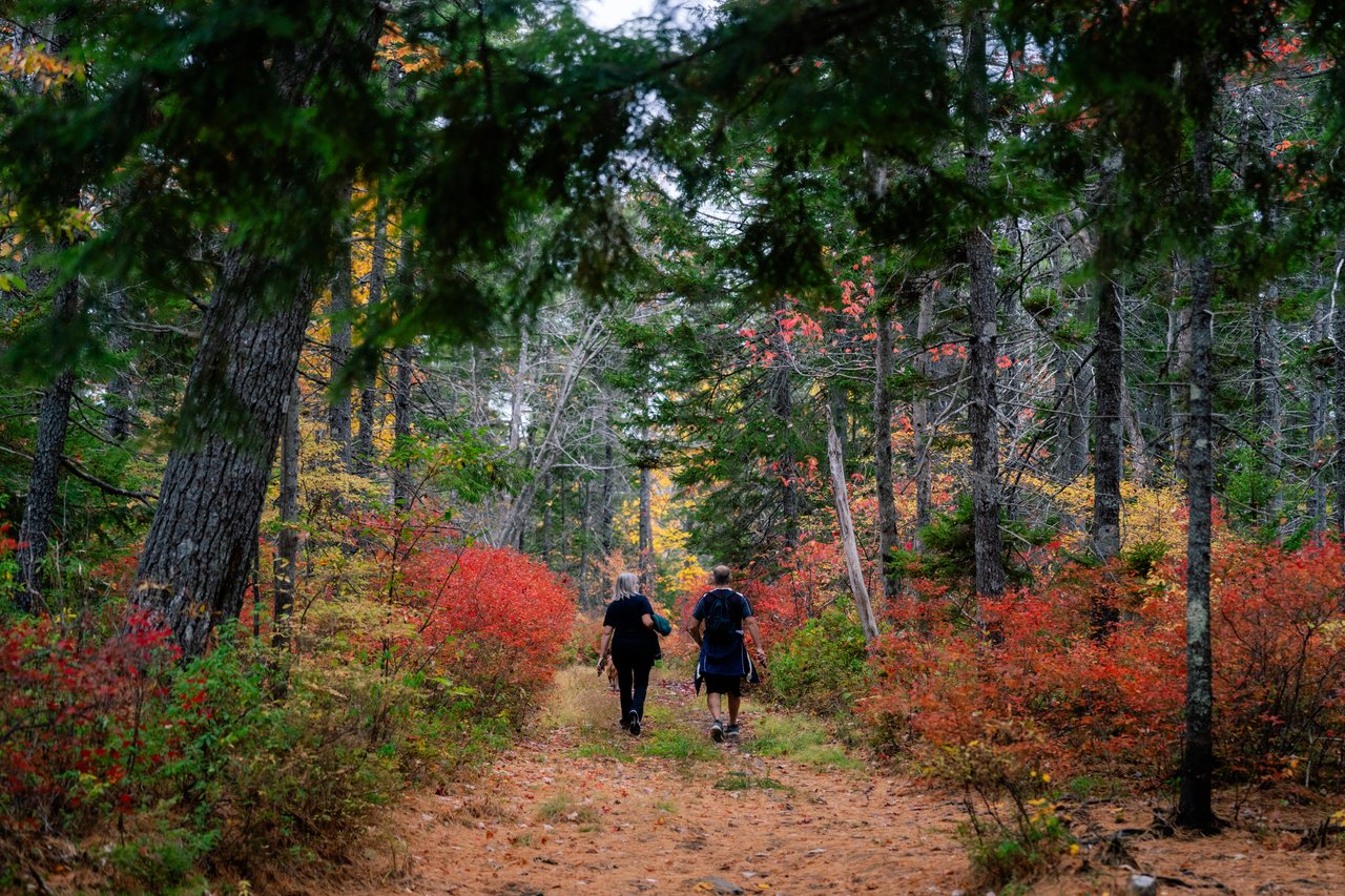 Jack Lake Trail gallery image