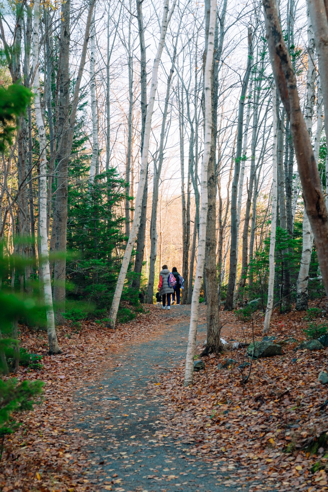 Kearney Lake Trails gallery image