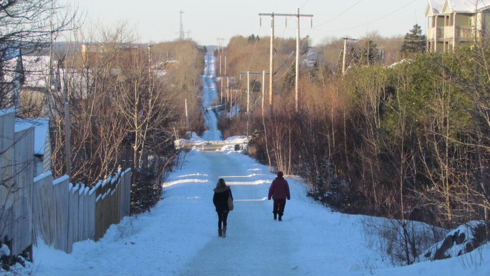 Mainland North Trail image