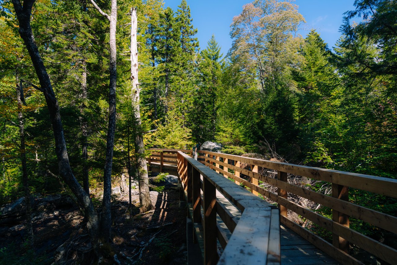 Nichols Lake Trail gallery image