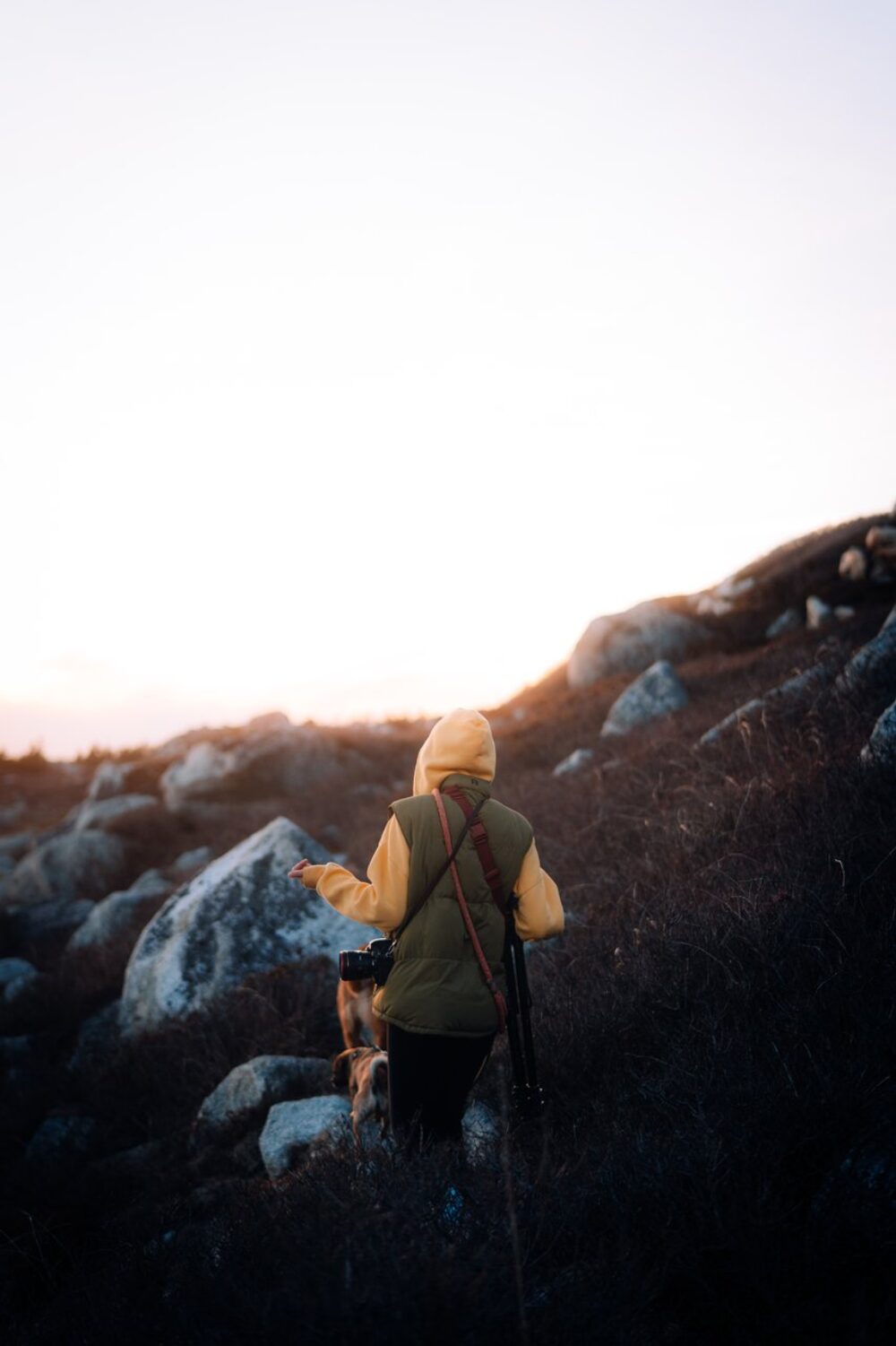 Polly Cove Hiking Trail image