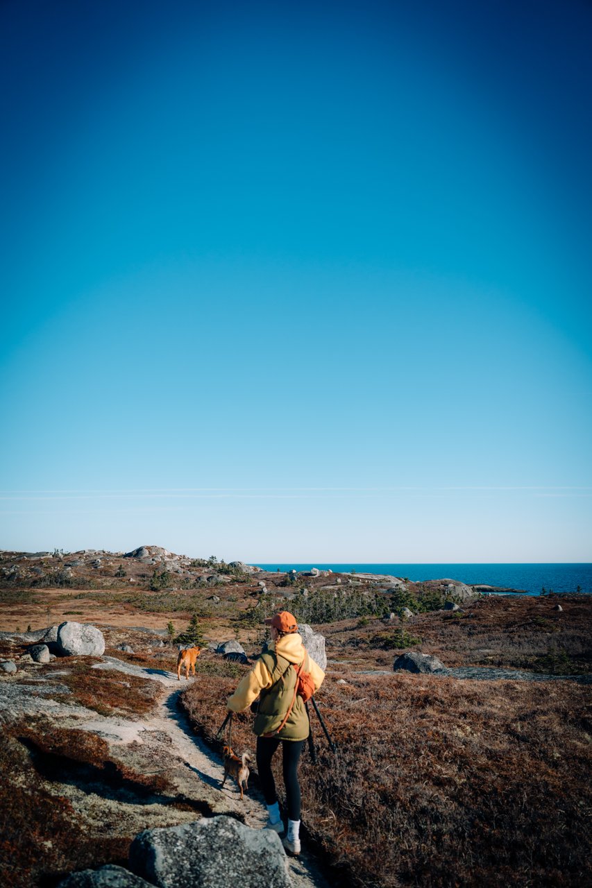 Polly Cove Hiking Trail carousel image