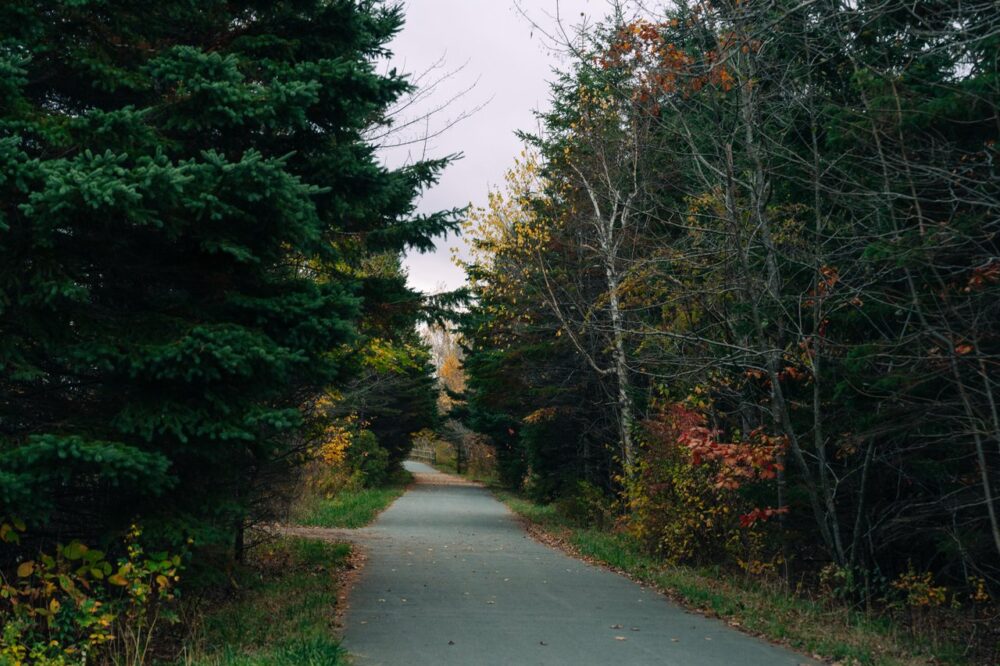 Portland Lakes Greenway image