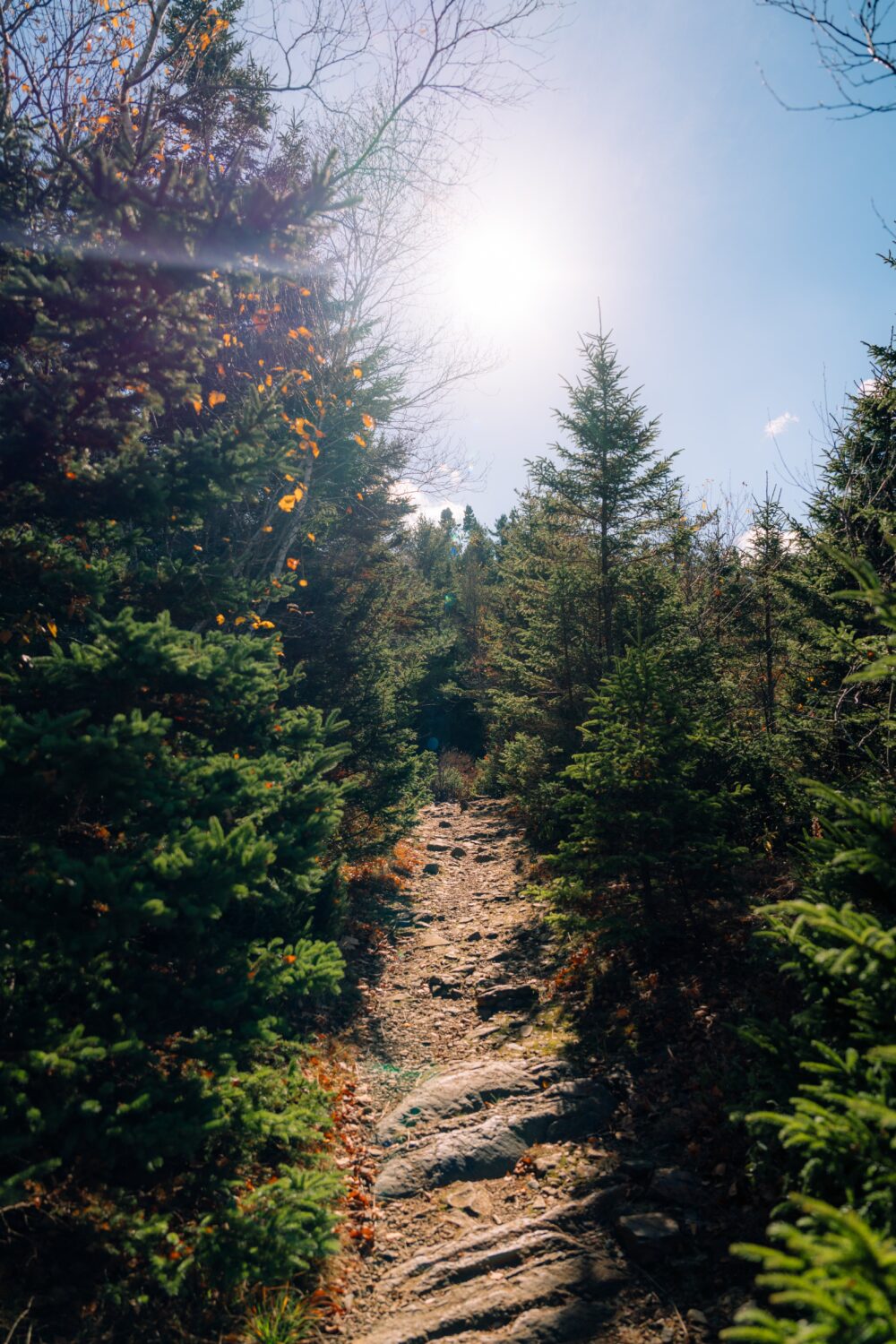 Purcells Cove Backlands image