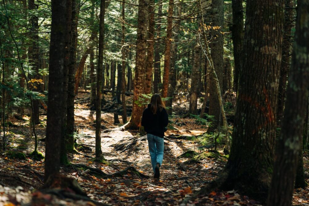 Webber Lake Falls Trailhead image